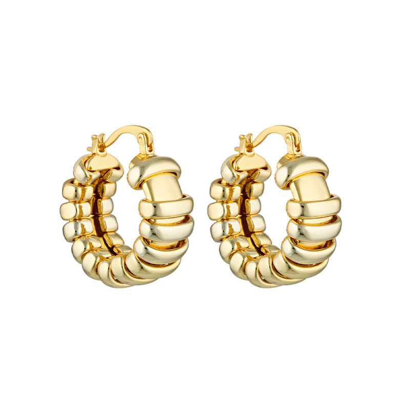 “Sculpted Heritage” S925 Sterling Silver Geometric Hoop Earrings