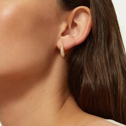 “U-Shaped Brilliance” S925 Sterling Silver Zircon Pavé U-Shaped Hoop Earrings